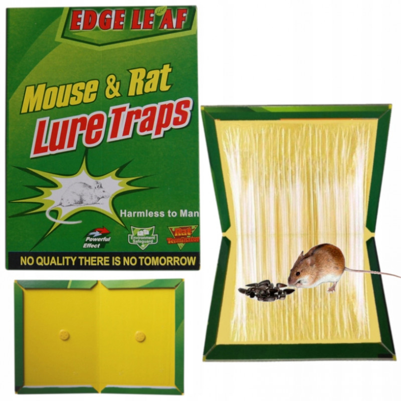 Pasca na myši - LEPIDLO MOUSE and RAT GLUE BOARD