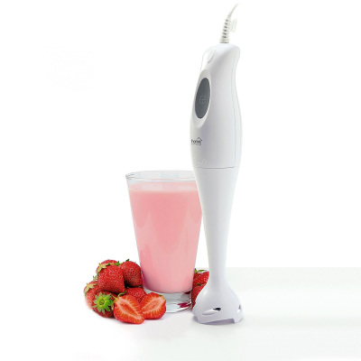 Mixér tyčový HOME HGBM12